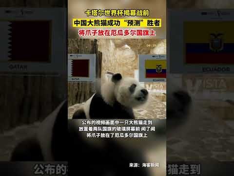 探寻古埃及,奥秘,战神,伟德国际斯诺克,斯诺克赛事资讯,斯诺克比赛信息,斯诺克赛事平台,台球赛事资讯