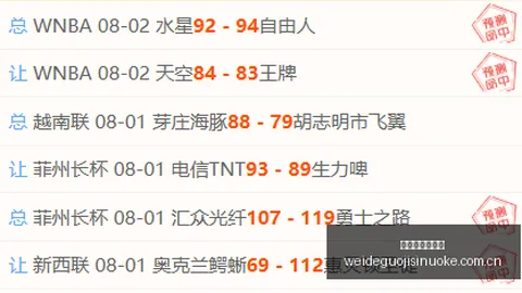巴舒亚伊转会：独家深度解析沙特艾卜哈俱乐部新援加盟